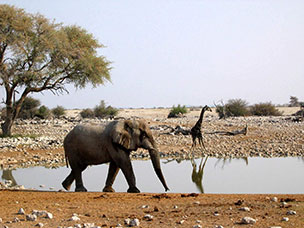 Namibia