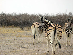 Namibia