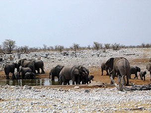 Namibia