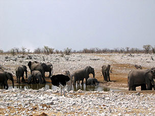 Namibia