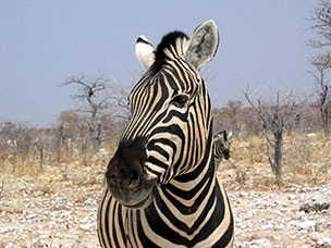 Namibia