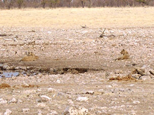 Namibia