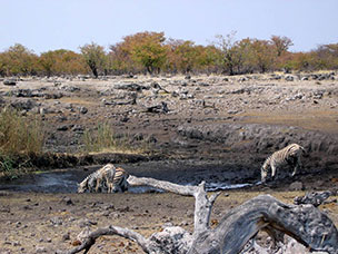 Namibia
