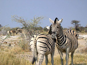 Namibia