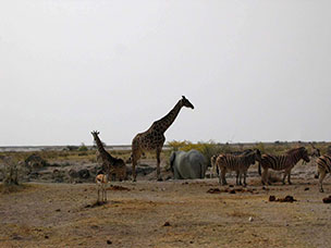 Namibia