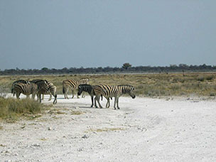 Namibia