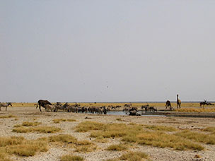 Namibia