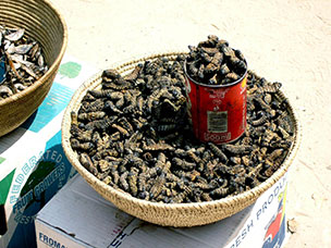 Namibia