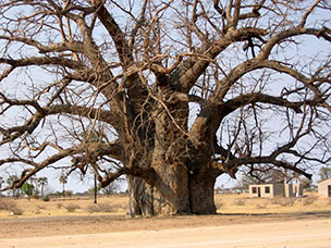 Namibia