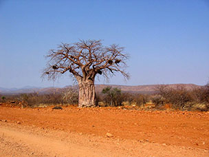 Namibia