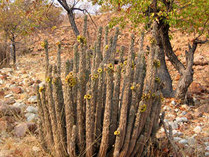 Namibia