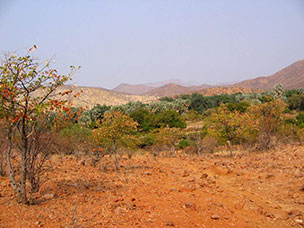 Namibia