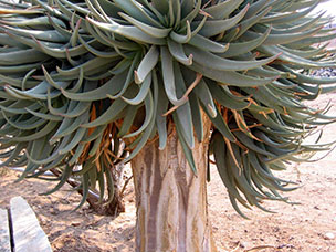 Namibia