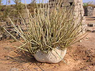 Namibia