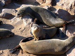 Namibia