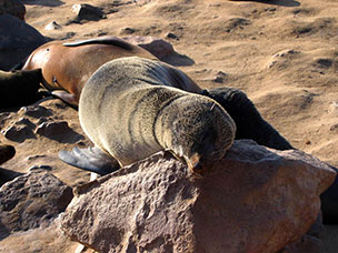 Namibia