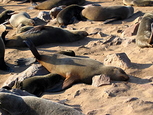 Namibia