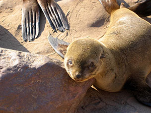 Namibia