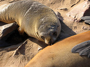 Namibia