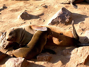 Namibia