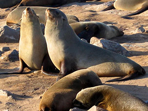 Namibia
