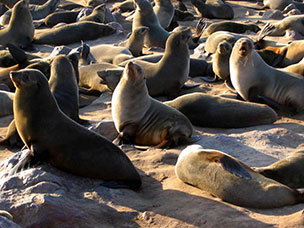 Namibia