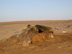 Namibia