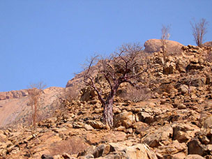 Namibia