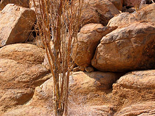 Namibia