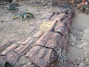 Namibia