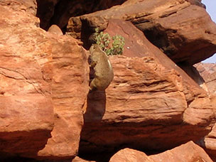 Namibia