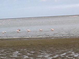 Namibia