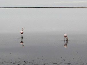 Namibia