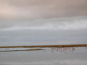 Namibia
