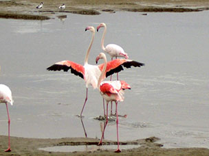 Namibia