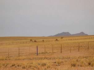 Namibia