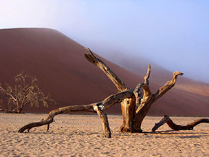 Namibia