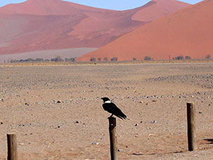 Namibia