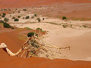 Namibia