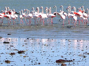 Namibia