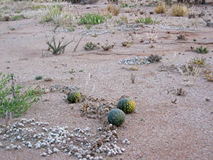 Namibia