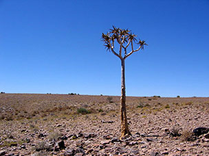Namibia