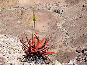 Namibia
