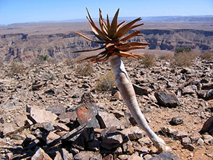 Namibia