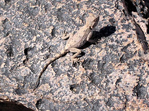 Namibia