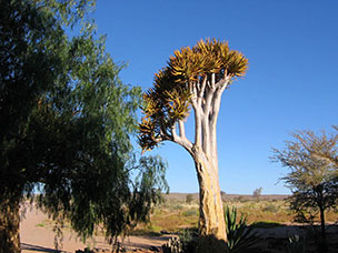 Namibia