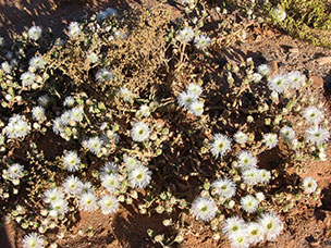 Namibia