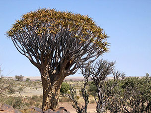 Namibia
