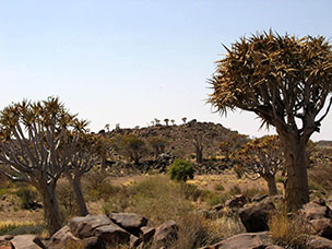 Namibia