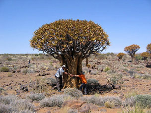 Namibia
